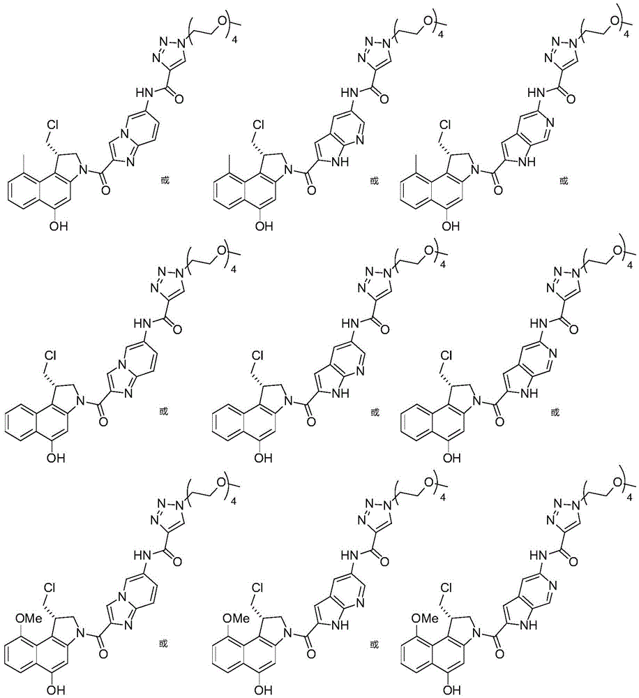 Figure GDA0002483706190001061