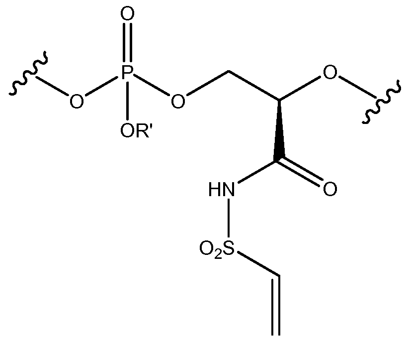Figure imgf000076_0002