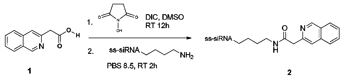 Figure imgf000175_0002