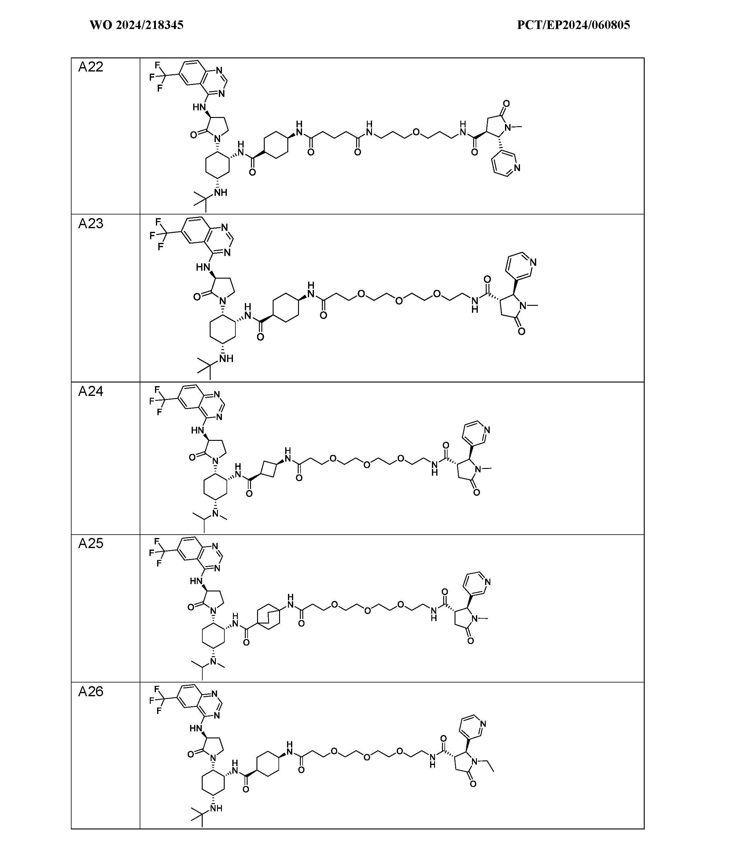 Figure imgf000080_0001