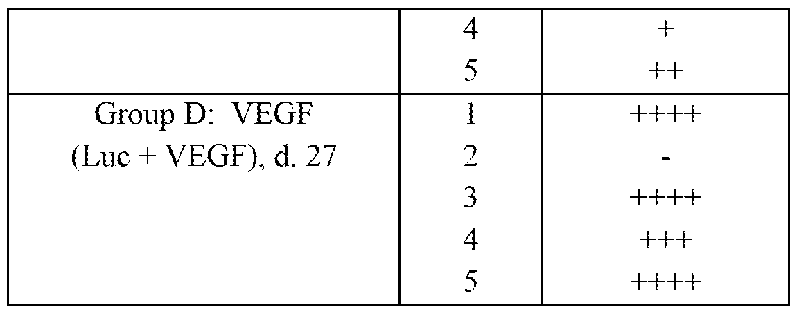 Figure imgf000130_0001