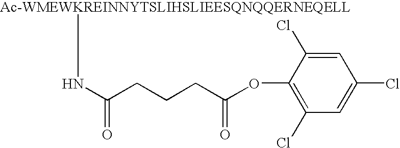 Figure US20080039532A1-20080214-C00028