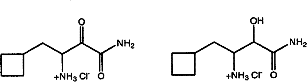 Figure FSB00001007621000021