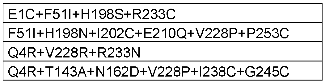Figure imgf000015_0001