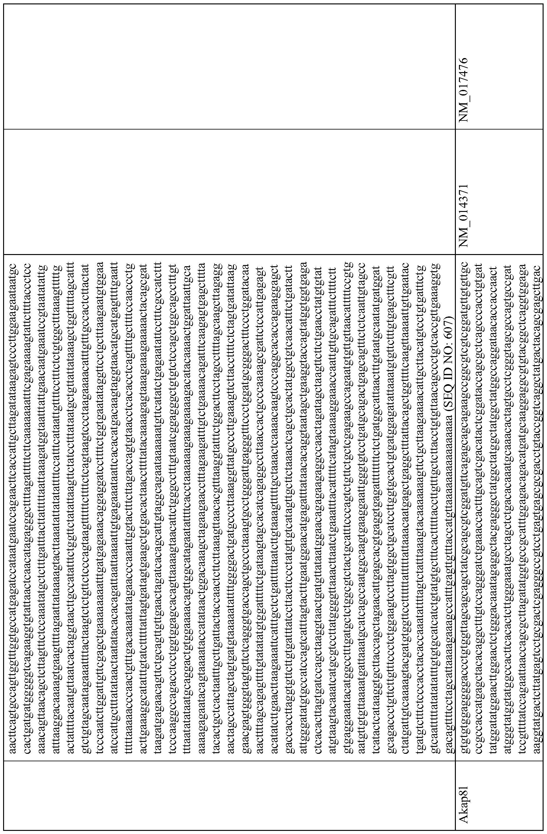 Figure imgf000027_0001