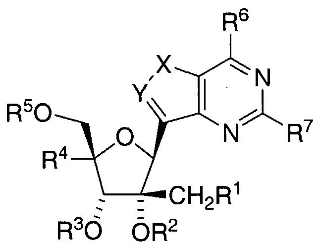 Figure imgf000005_0001