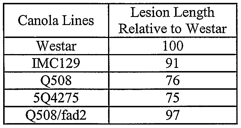 Figure imgf000026_0001