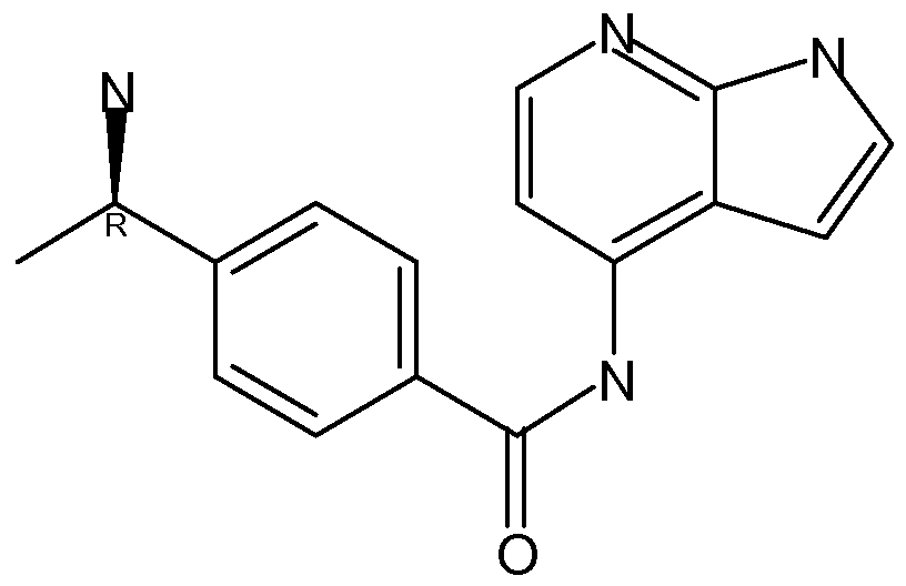 Figure imgf000064_0001