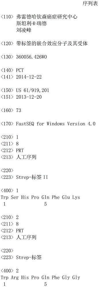 Figure IDA0001070643320000011