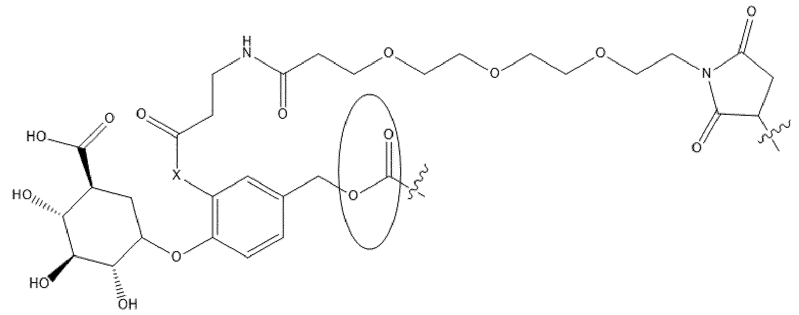 Figure imgf000016_0001