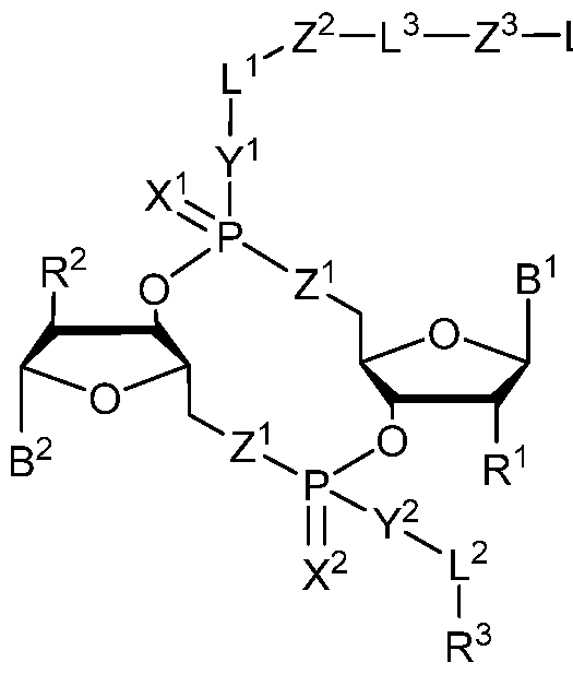 Figure imgf000004_0001