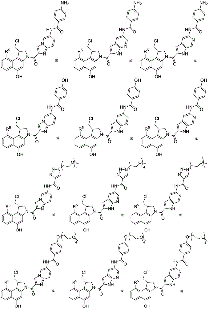 Figure GDA0002483706190001031