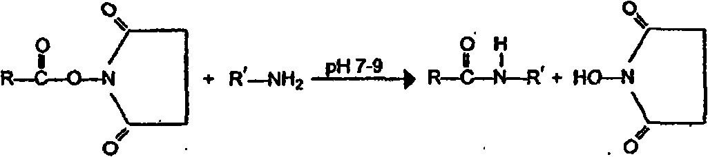 Figure A20088002216300531