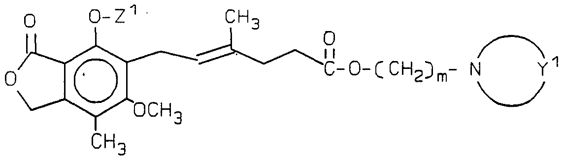 Figure imgf000006_0001