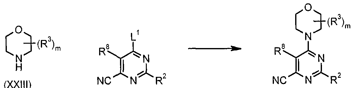 Figure imgf000066_0003