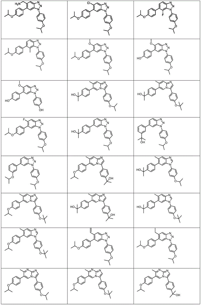 Figure FDA0003101608290000041