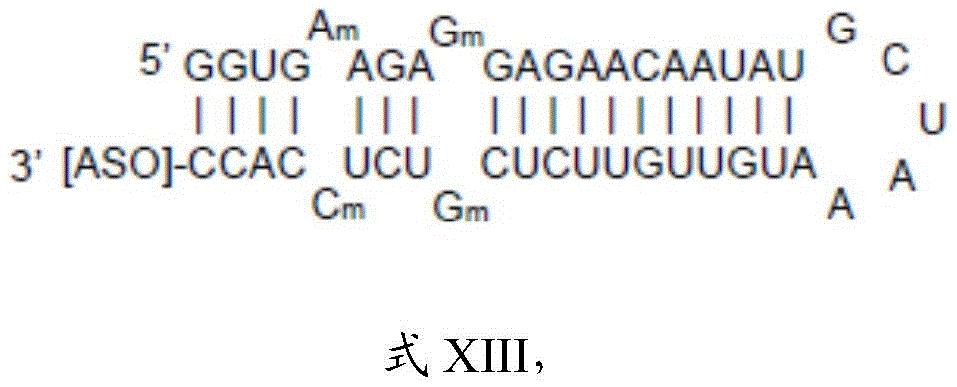 Figure BDA0003264319780000652