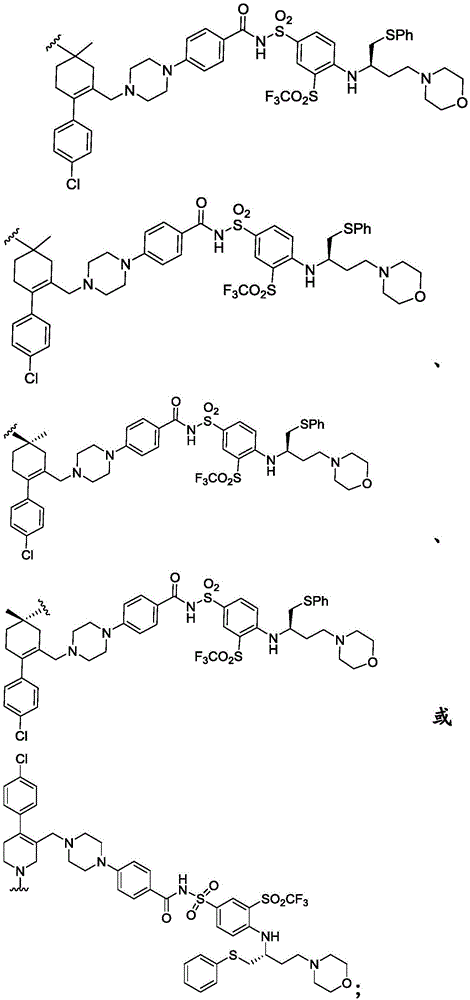 Figure FDA0003293294500000211