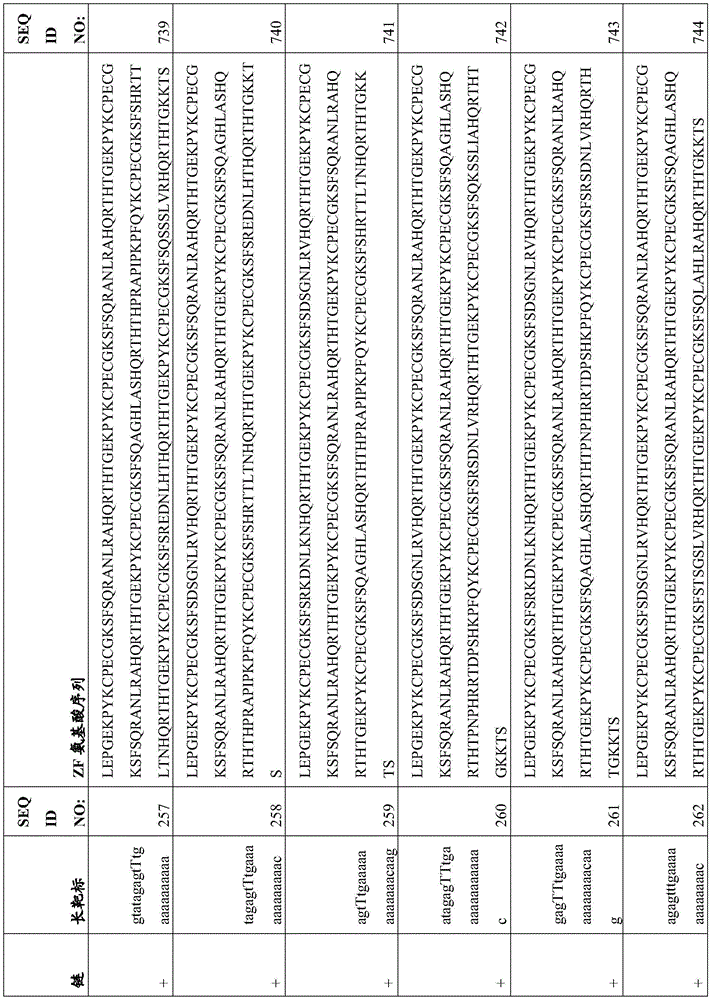 Figure BDA0003935065550000641