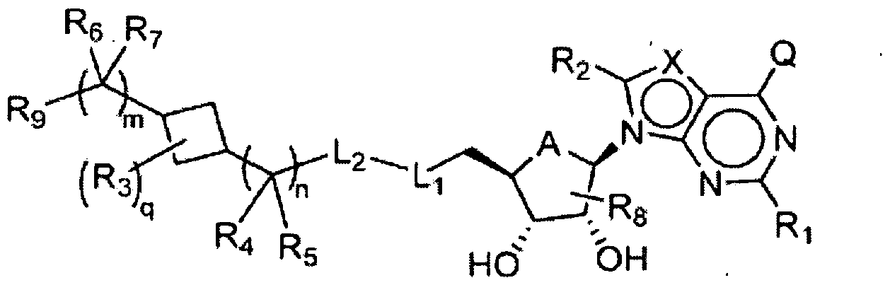 Figure imgf000054_0001