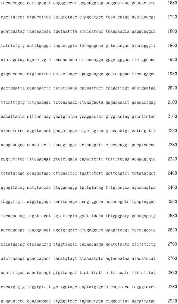 Figure IDA0003936212790000121