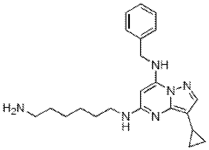 Figure imgf000181_0003