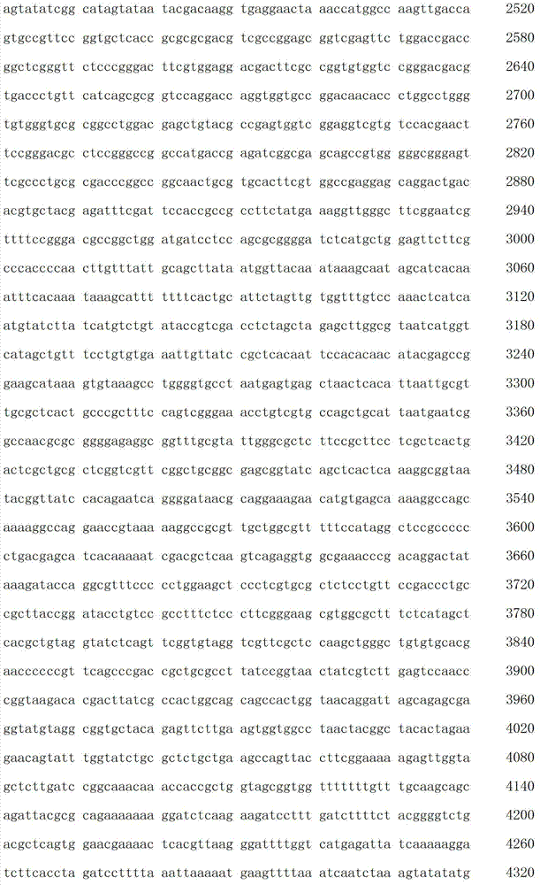 Figure IDA00003076741800091