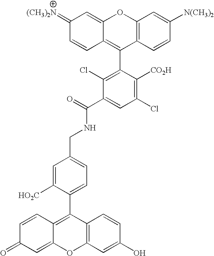 Figure US20070154927A1-20070705-C00095