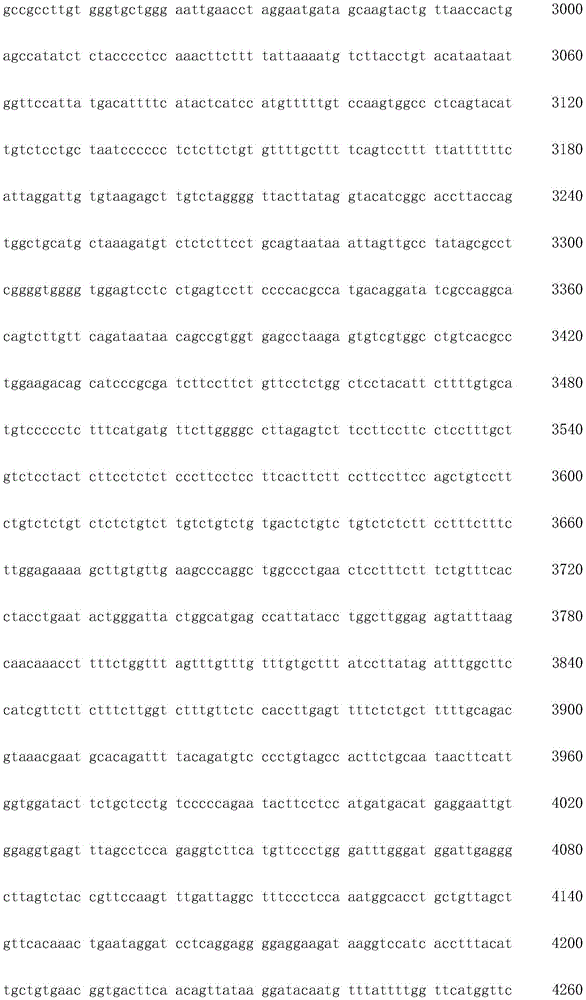 Figure IDA0003936212790000131