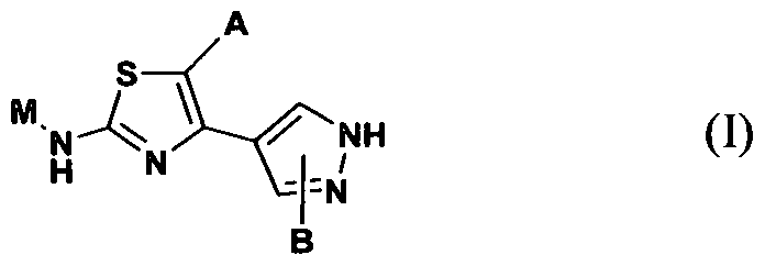 Figure imgf000010_0001