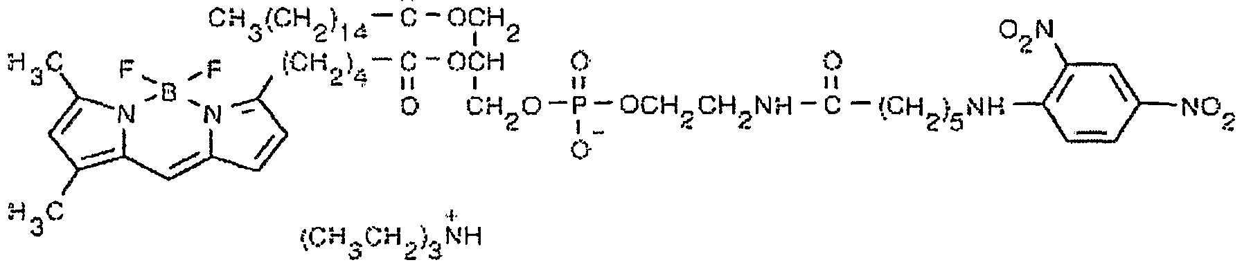 Figure imgf000089_0001