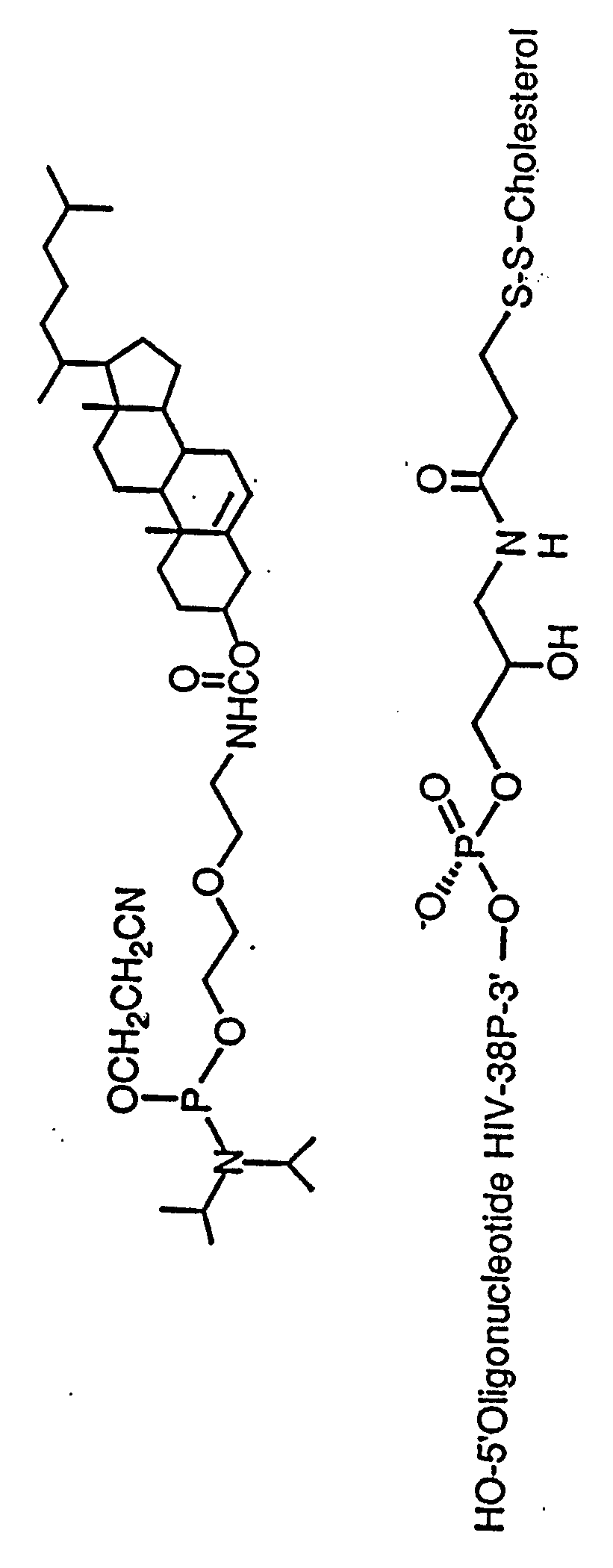 Figure imgf000055_0001
