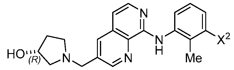Figure imgf000009_0001