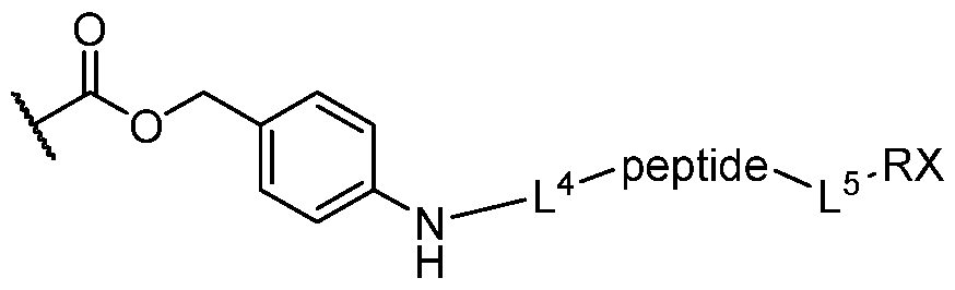 Figure imgf000099_0001