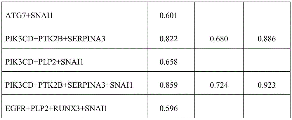Figure BDA0002822452310000091