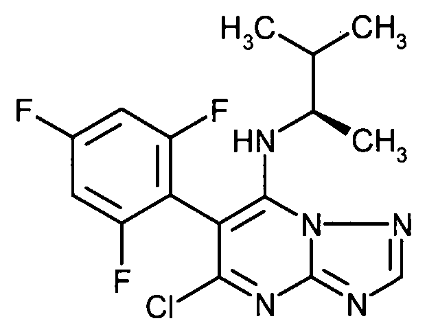 Figure DE102007045920B4_0173