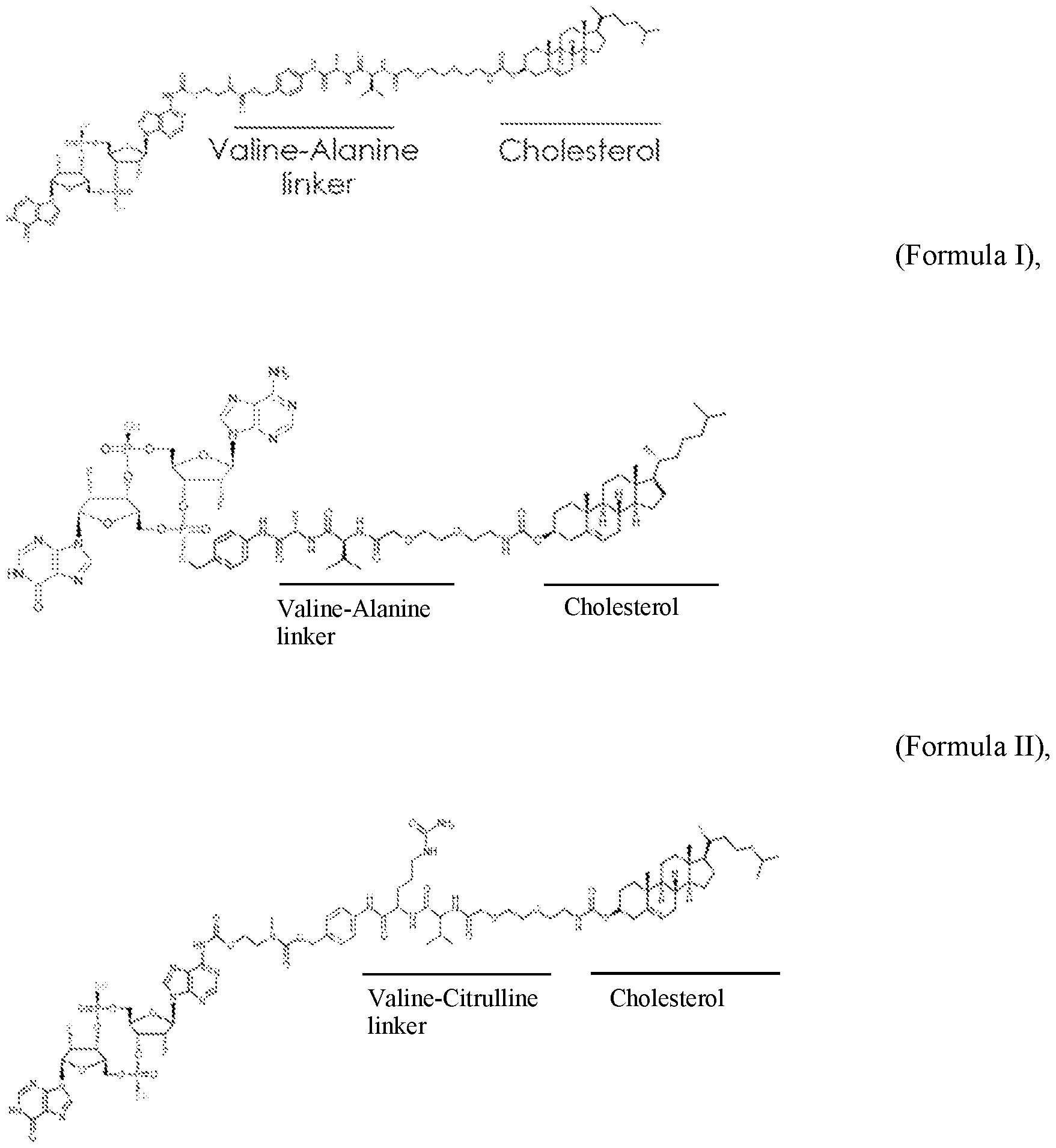 Figure imgf000025_0001