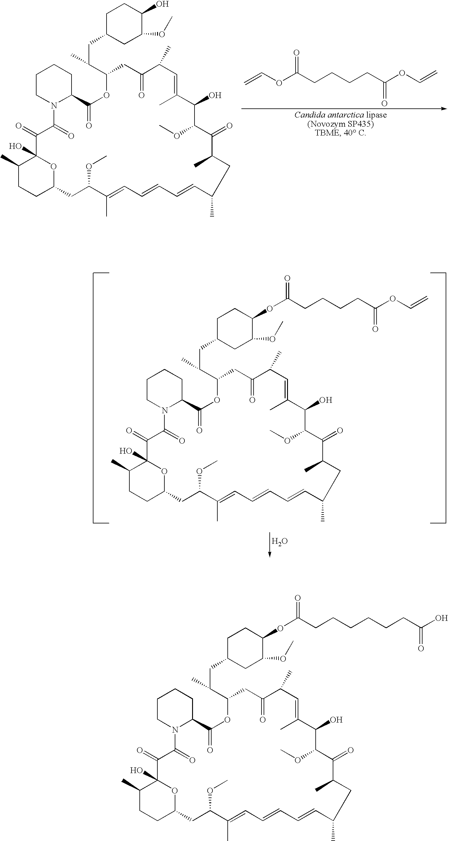 Figure US07625726-20091201-C00015