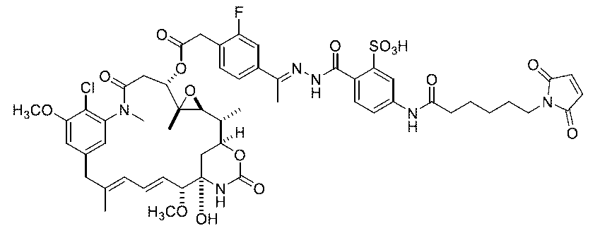 Figure 0007442821000137