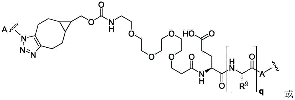 Figure BDA0003169092350000457