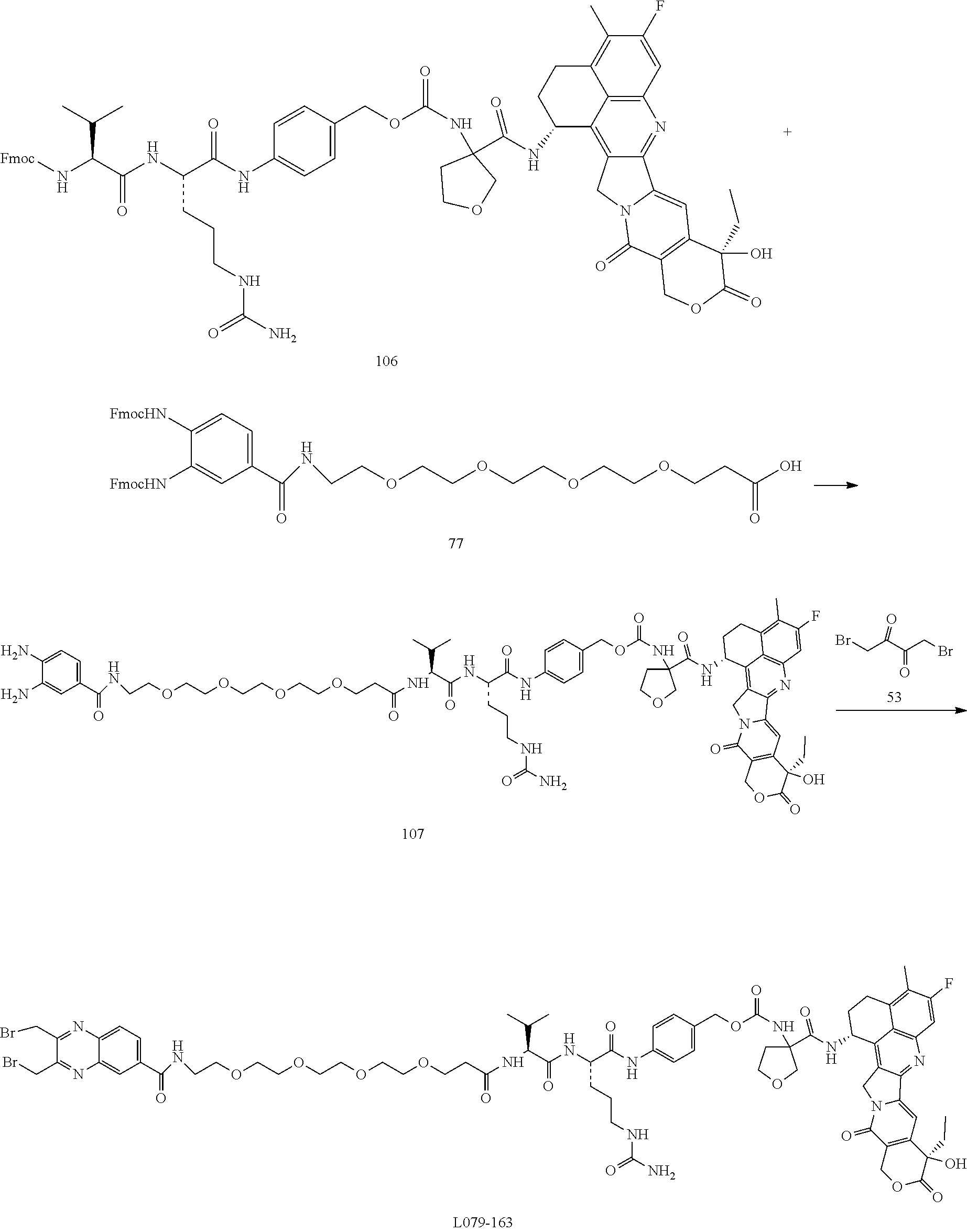 Figure US20250205350A1-20250626-C00243
