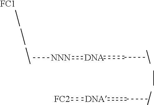 Figure US20220010376A1-20220113-C00014