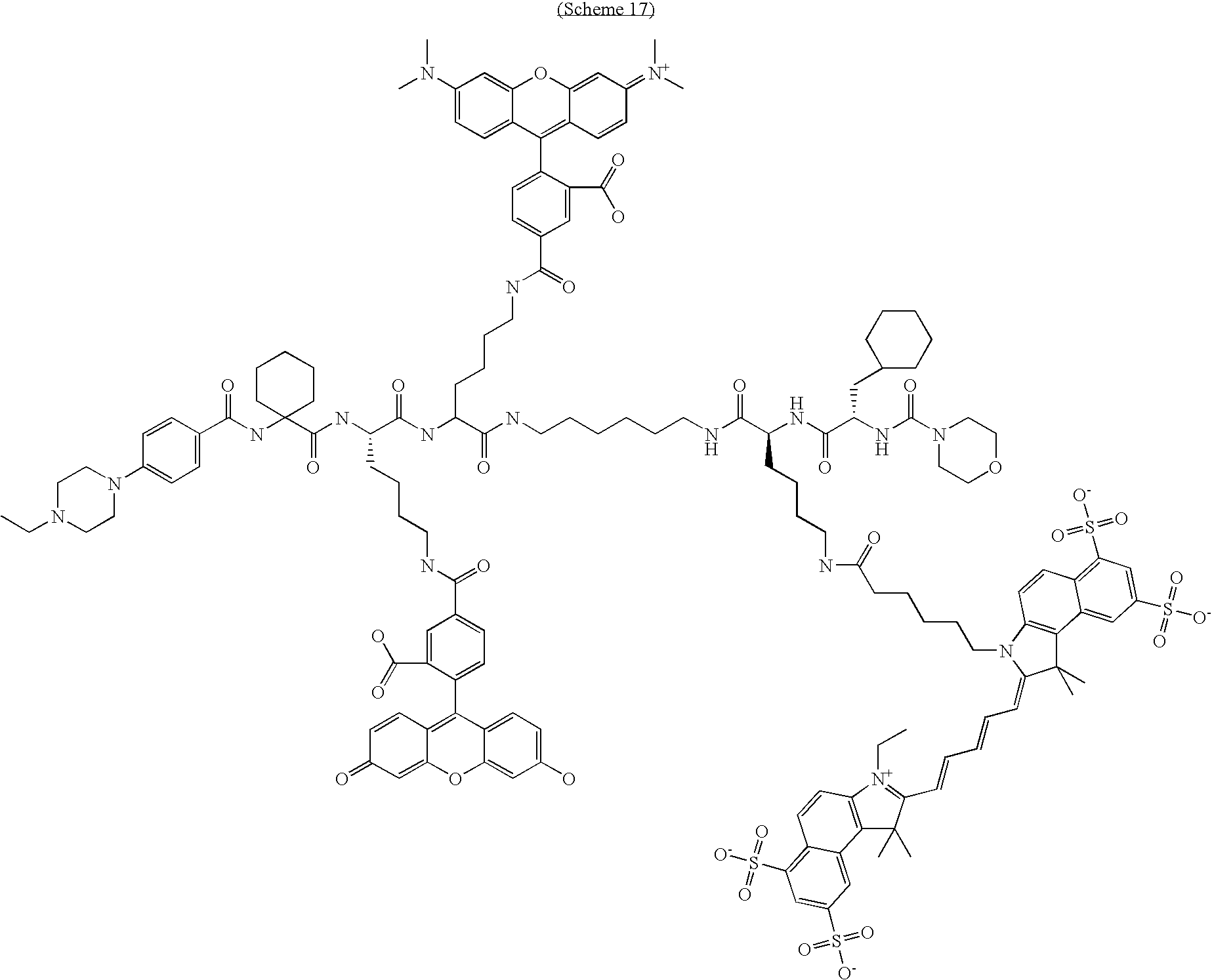 Figure US20100189658A1-20100729-C00037