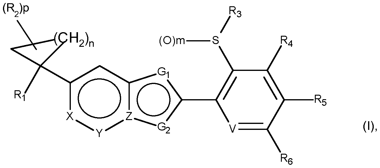 Figure imgf000002_0001