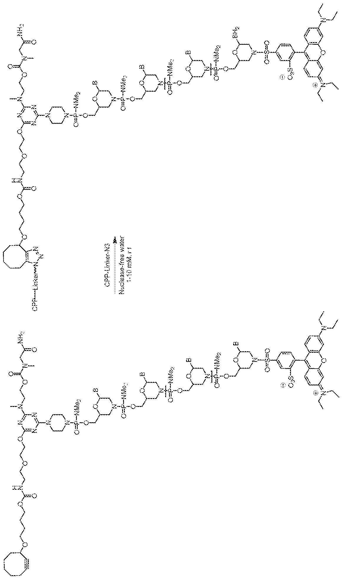 Figure imgf000202_0001