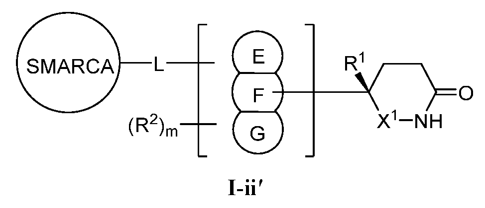 Figure imgf000045_0003