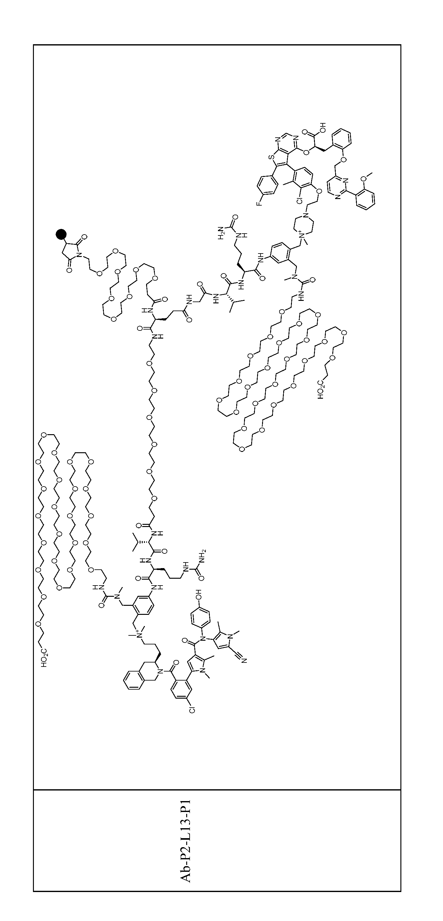 Figure imgf000167_0001