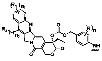 Figure PCTCN2019073148-appb-000056