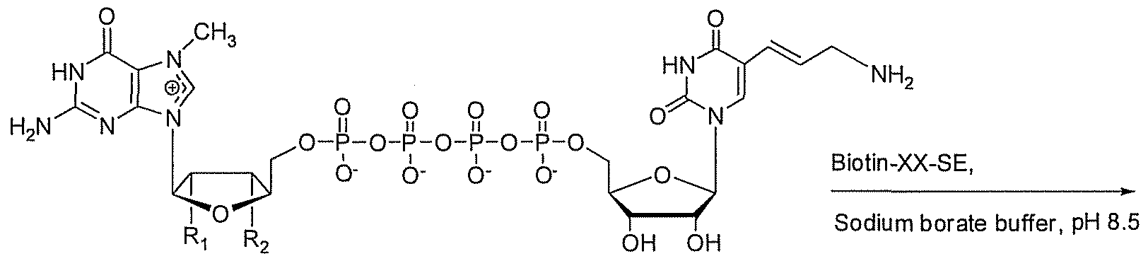 Figure imgf000041_0001