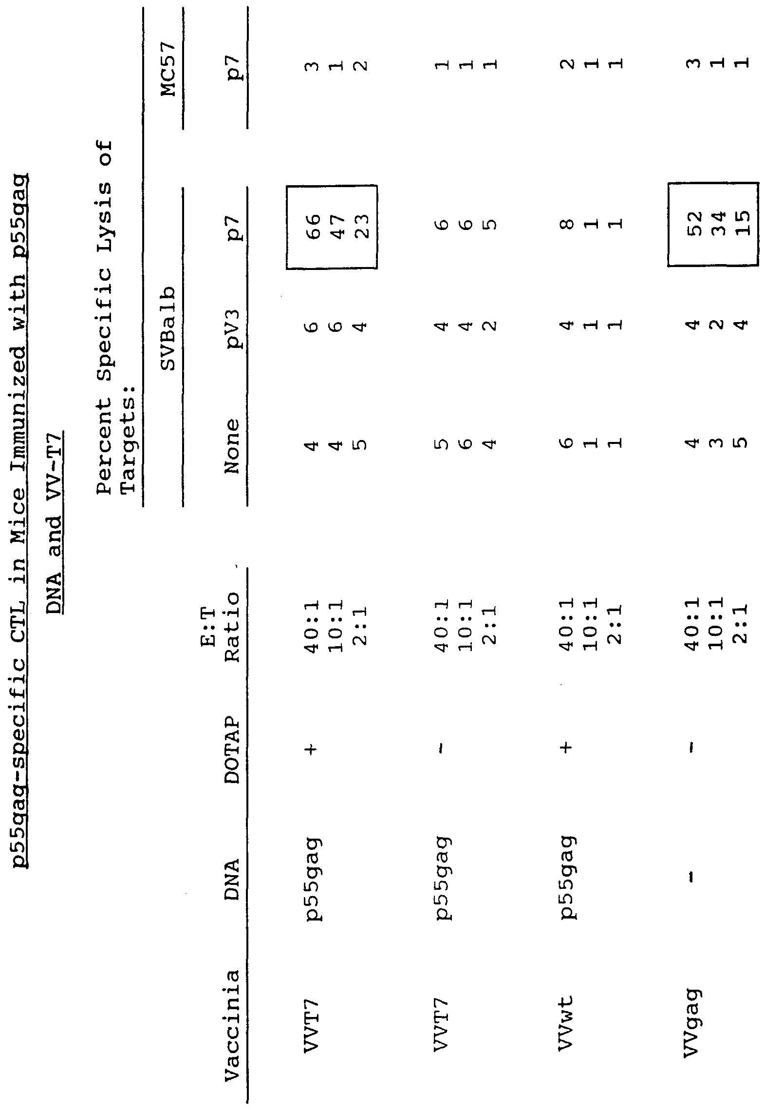 Figure imgf000049_0001